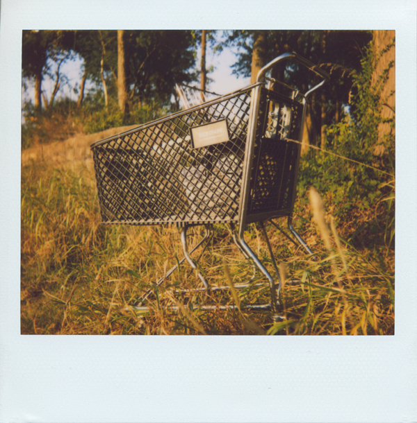 lost shopping cart