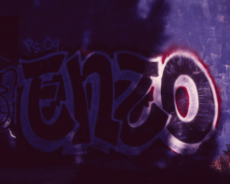 enzo one