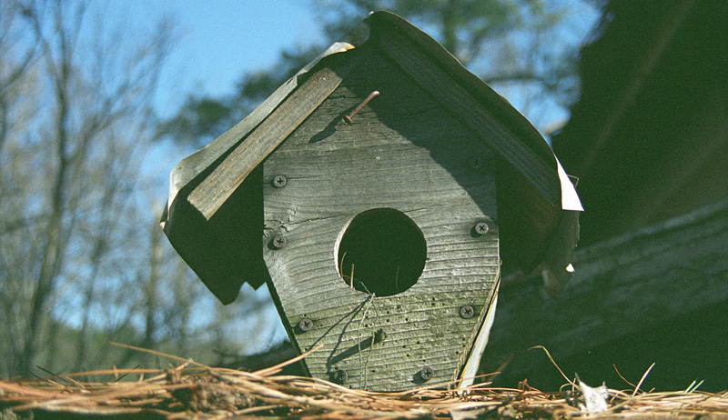 fletcher memorial home for birds