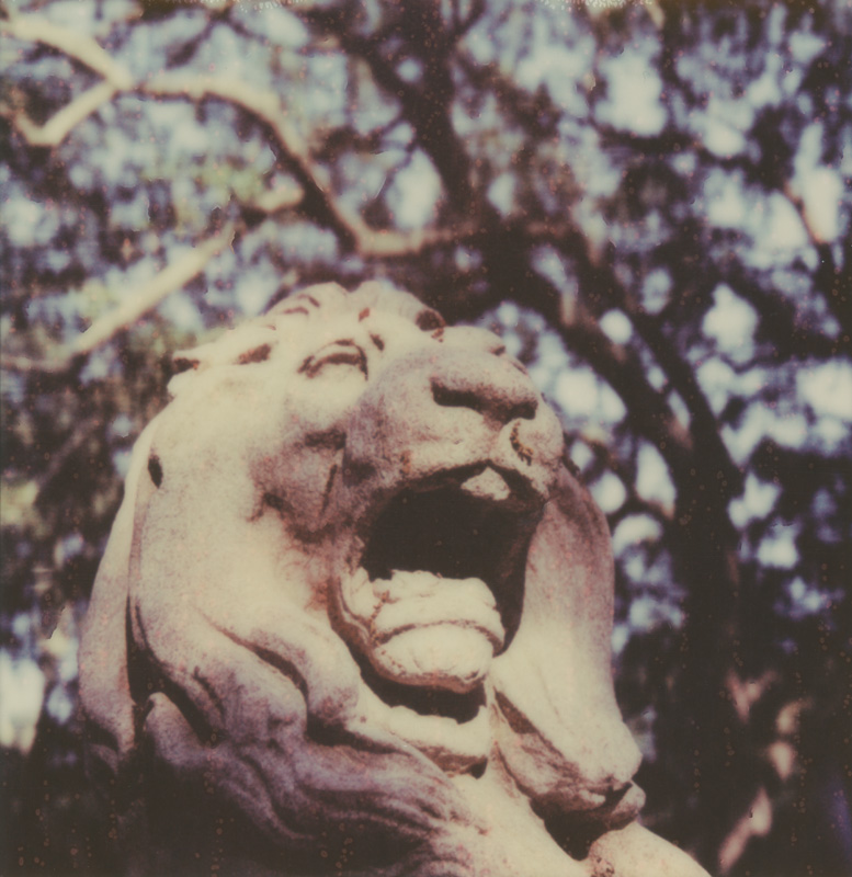 portrait of a stone lion