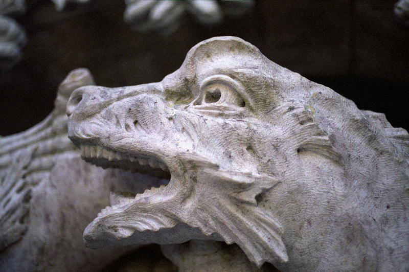 dragon detail one