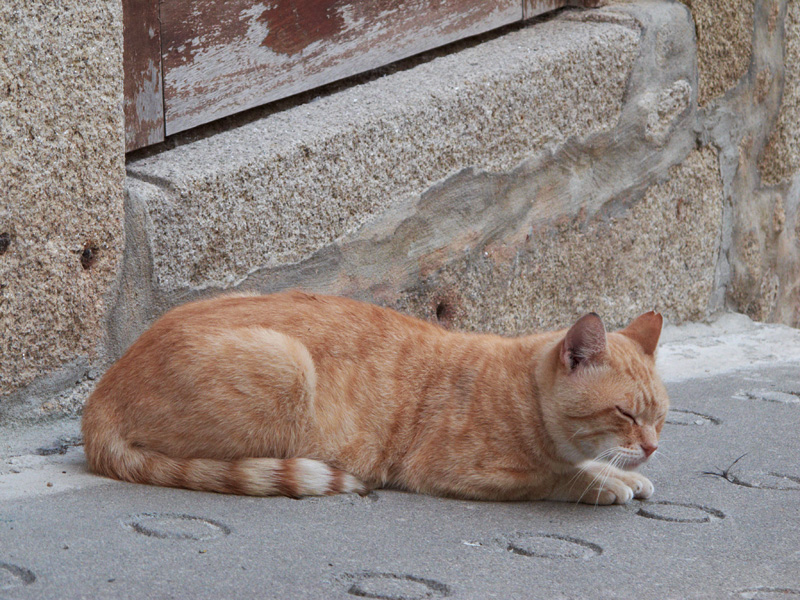 resting on the sidewalk