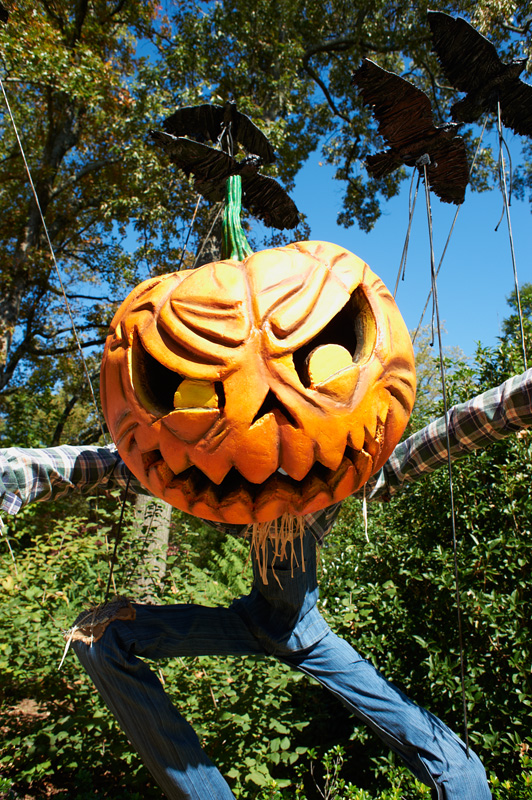 pumpkin head of doom