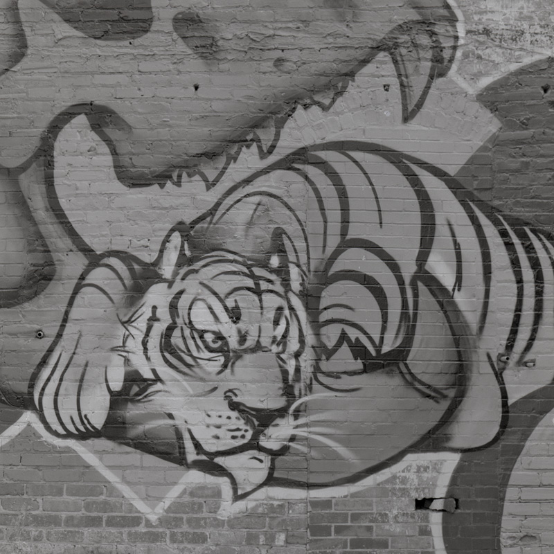paper tiger