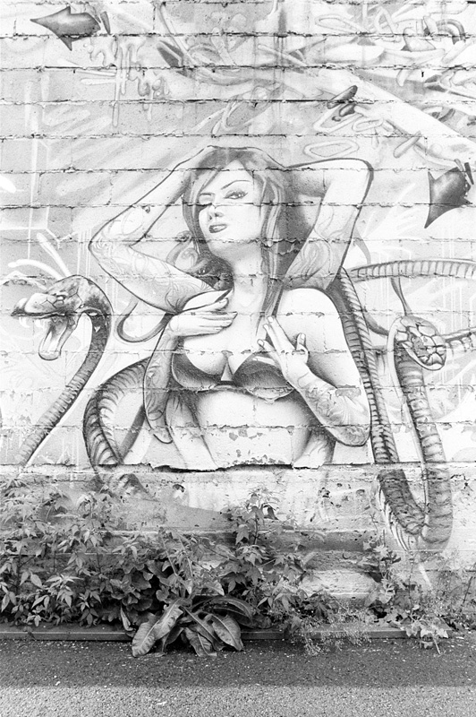 snakes on a lady