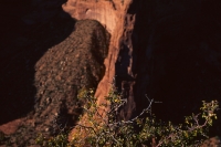 spider rock two