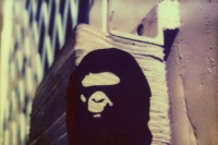 ape loading area