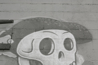 skulls on a wall three