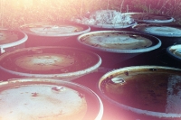 toxic waste barrels in nature