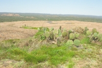 amazing hill country view one