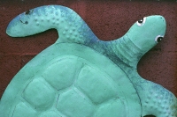 thinking turtle