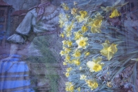 street art versus daffodils